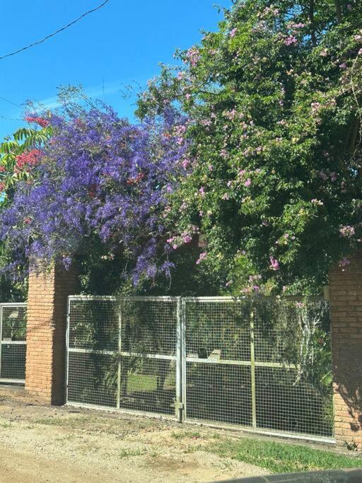 Sitio Beija Flor Em Sao Roque Villa Exteriör bild