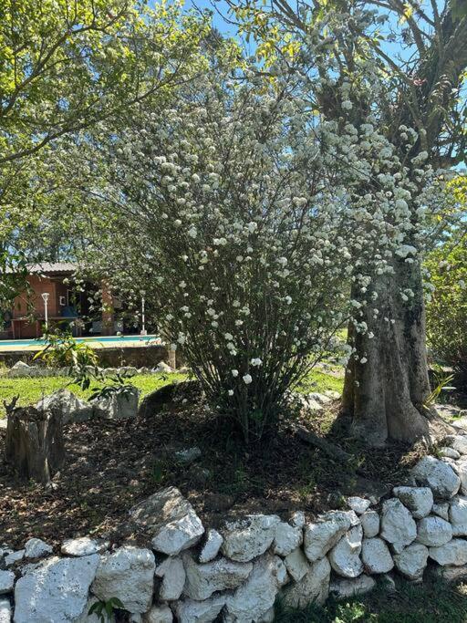 Sitio Beija Flor Em Sao Roque Villa Exteriör bild